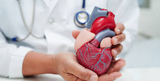 Cardiology Department